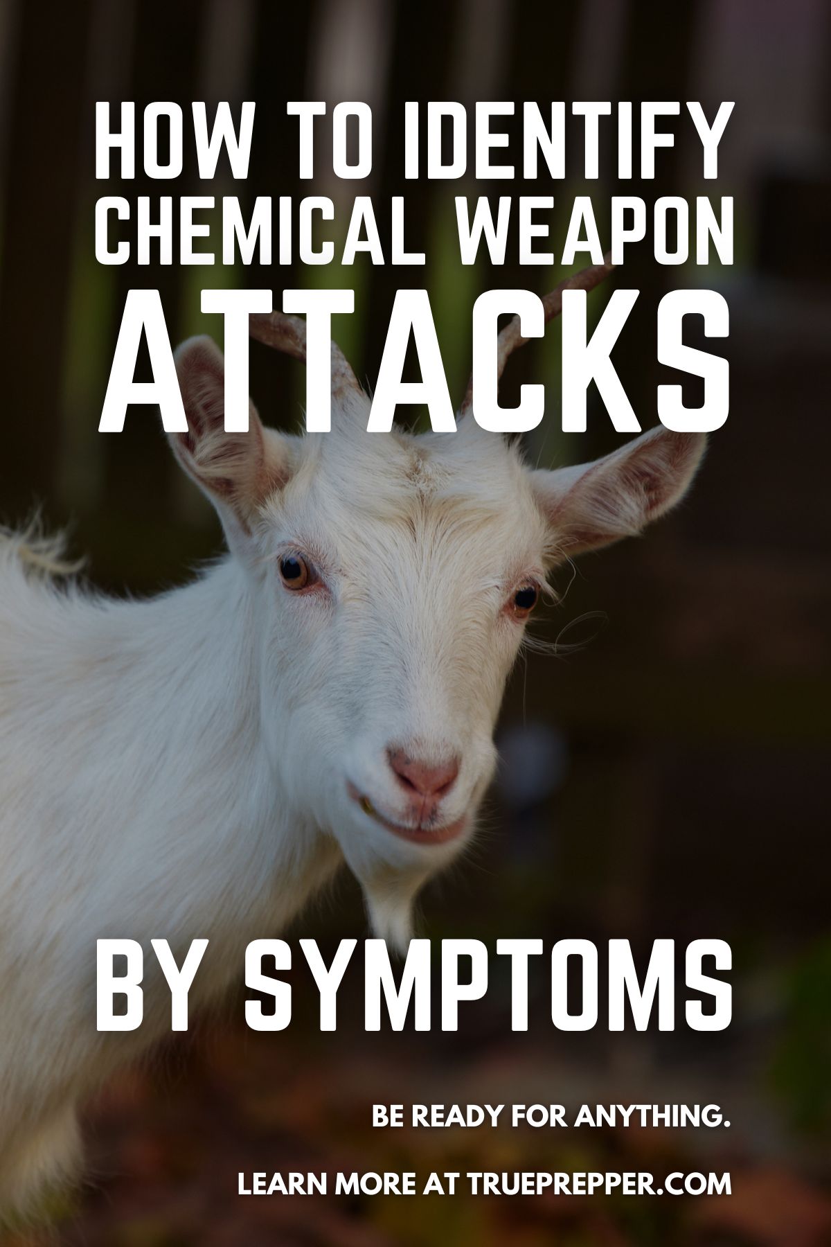 How to Identify Chemical Weapon Attacks by Symptoms