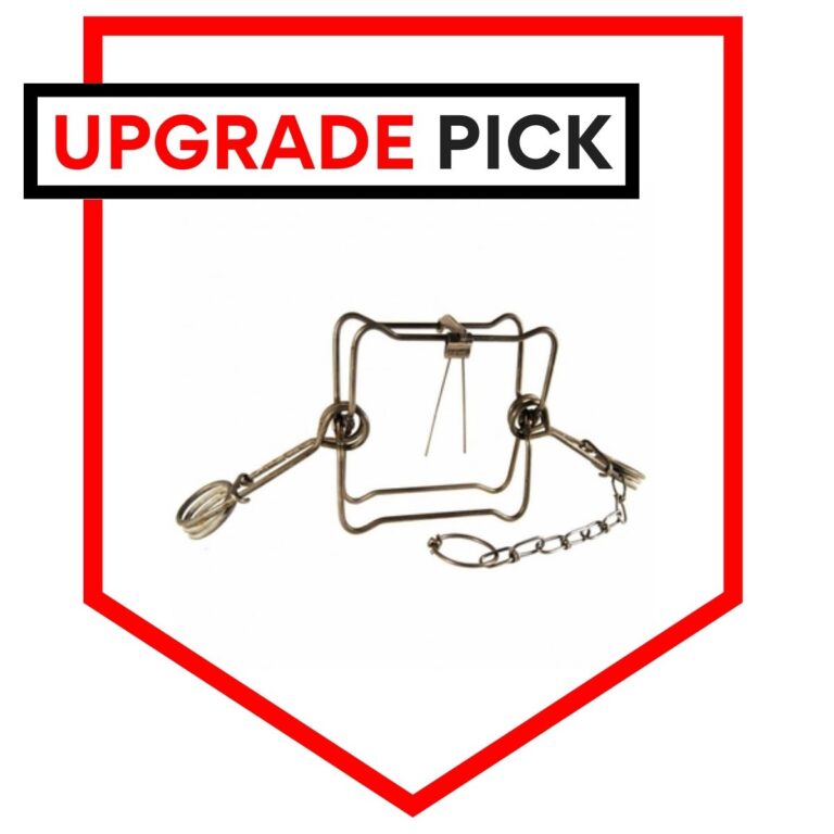Best Conibear Traps, Sets, and Sizes for Survival Trapping