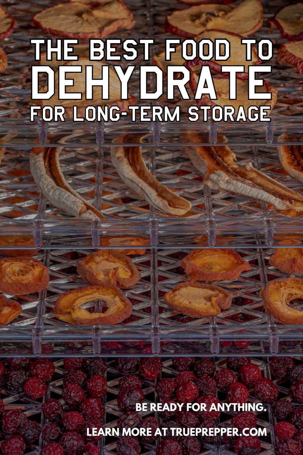 The Best Food to Dehydrate for Long Term Survival Storage TruePrepper